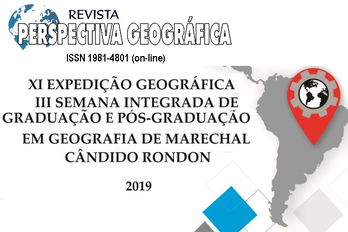 PERSPECTIVA GEOGRÁFICA